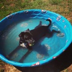 Cool Tips for Beating the Heat This Summer Cool Tips for Beating the Heat This Summer